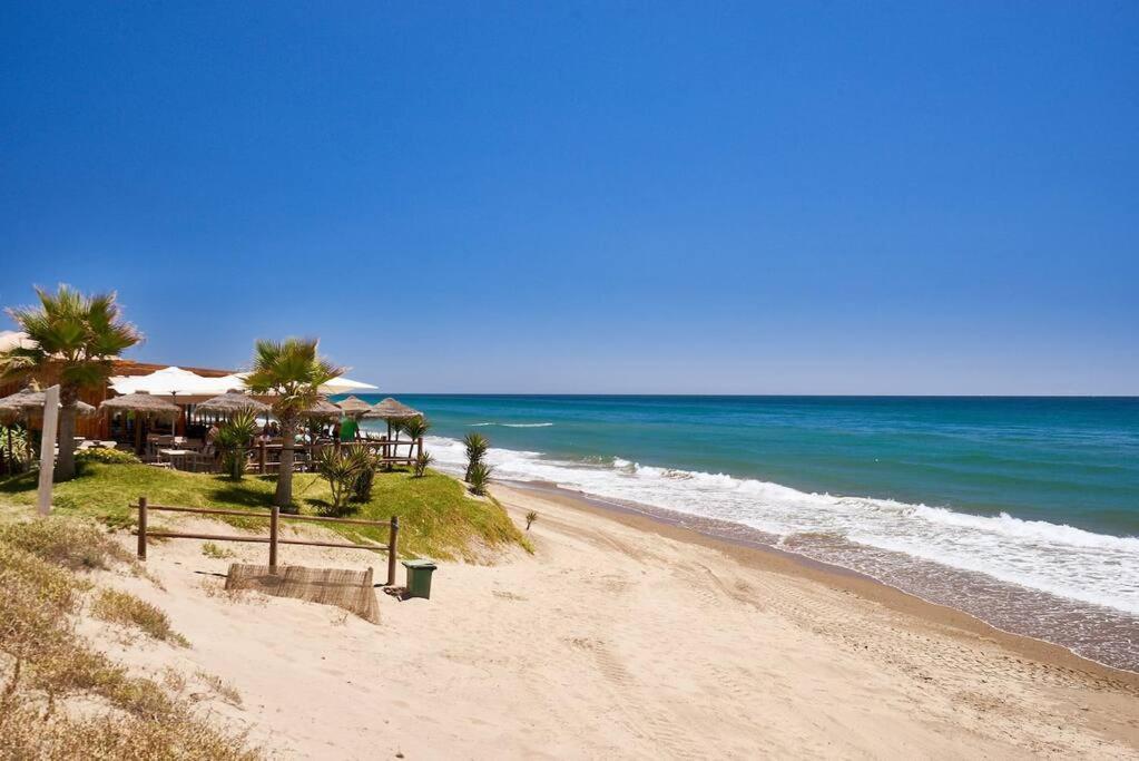 Oleholidays 1133 Romana Playa Primera Linea Playa